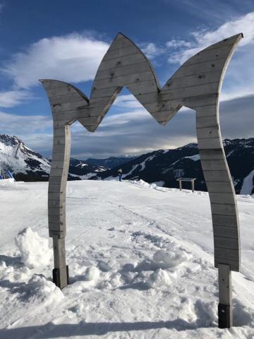 Tauernlodge Sonnblick Top 3 Muhlbach Am Hochkonig Bagian luar foto